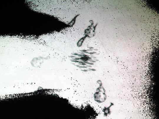 100202.octopus_3.jpg